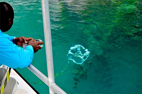 learning to pilot rov in palau